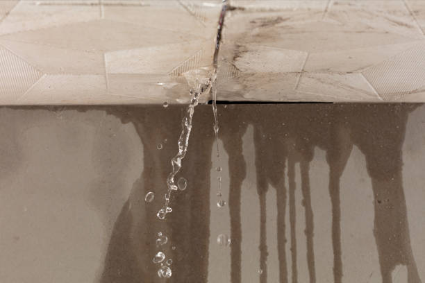 Professional Structural Drying technician working in Addison, MI